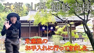 京都山科　勧修寺 様の氷室池のお手入れに行ってきました！