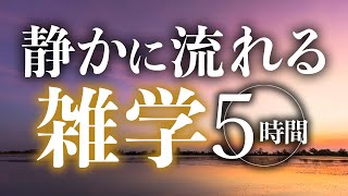 【睡眠導入】静かに流れる雑学5時間【合成音声】