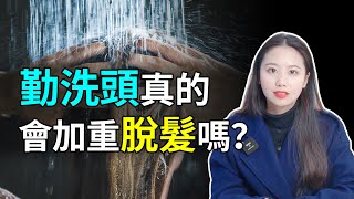 【脫髮掉髮】每天洗頭會導致脫髮嗎？多久洗一次比較好？經常洗頭的朋友看看！