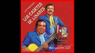 Los Cadetes De Linares   Corridos De Antaño Mix