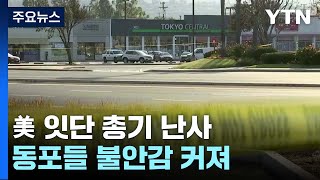 美 잇단 총기 난사에 동포들 불안...총기 규제는 '온도 차' / YTN