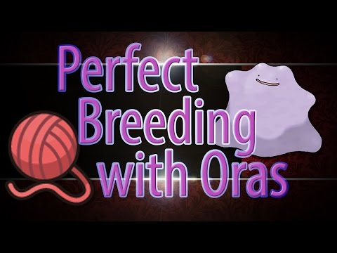 Pokemon Oras Prefect IV Breeding Guide Pokemon Oras Prefect IV Breeding Guide