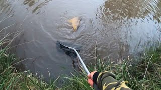 Successful winter carp fishing