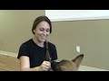 how to train a dog to pay attention k9 1.com