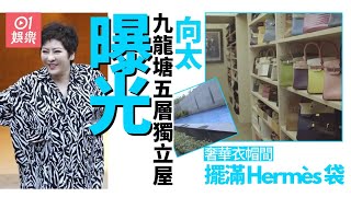 向太公開九龍塘過億獨立屋　設超大泳池衣帽間擺滿Hermès手袋