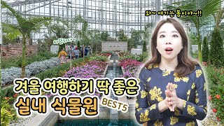 추울땐 여기어때? 전국 실내식물원 BEST5 \