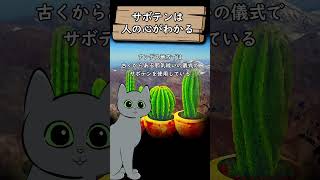 サボテンは人間の言葉を理解する不思議な植物 #shorts #サボテン #植物の力