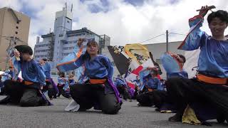 第26回ヤートセ秋田祭前祭にて秋田大学 よさとせ歌舞輝