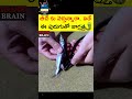 బీచ్ కు వెళ్తున్నారా ఈ వీడియో చూడండి 😨😨 interesting facts in telugu shorts viral