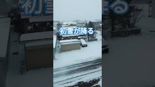 ブルブルッと凍える初雪☃️冬将軍が町へやってきた #初雪#冬将軍#凍える #悴む手