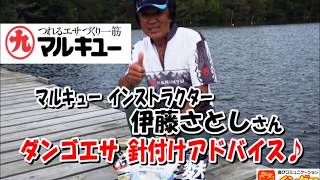 マルキュー伊藤さとしさん　ダンゴエサ針付ポイント解説