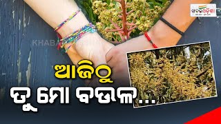 ଆଜିଠୁ ତୁ ମୋ ବଉଳ...| Baula Amabasya | Khabar Odisha