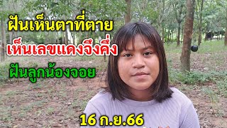 ฝันตาที่ตายพาดูเลข เห็นเลขแดงจึงคึ่ง ฝันลูกน้องจอย 16/9/66