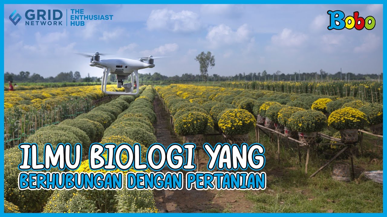 Fakta Menarik - Cabang Ilmu Biologi Yang Berhubungan Dengan Bidang ...