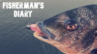 Multi Species Rockwall Plastics Session ~ Fisherman's Diary Ep 782