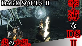 【幸薄なDS2】#53 炎の大嵐。【ダークソウルⅡ｜SCHOLAR OF THE FIRST SIN】