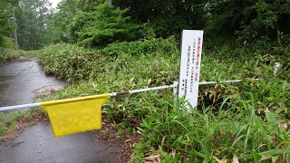 廃鉱山・白根硫黄鉱山、廃墟・草津シズカ山スキー場、旧道、遊歩道、立ち入り禁止