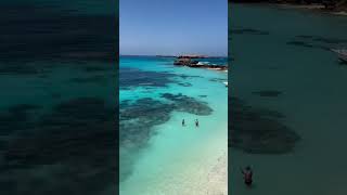 Daymaniyat Islands Oman #snorkeling #kayaking #paddleboarding