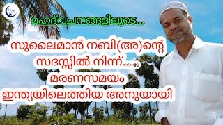 സുലൈമാൻ നബി(അ)ന്റെ സദസ്സിൽ നിന്ന്... മരണസമയം ഇന്ത്യയിലെത്തിയ അനുയായി | Sakkeer Musliyar