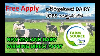 New Zealand Dairy Jobs direct apply (නවසීලන්තයේ කිරි ගොවිපලක රැකියාවකට කෙලින්ම අයදුම් කරන්​න)