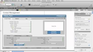 FIleMaker Pro: Replacing Data