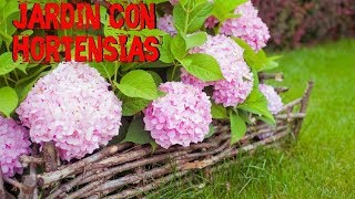 Jardin con  Hortensias