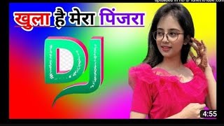 khula Hai Mera Pinjra di remix song dholki mix dj song dj dance mix 8859877440 Sachin Kumar