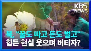 [요즘 북한은] 비물질문화유산 꿀벌치기 장려 외 / KBS  2023.06.24.