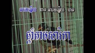 ផ្ដាំតាមសារិកាភ្លេងសុទ្ធឯកស៊ីដេ សាច់ភ្លេងពីរោះឆ្លងដែនភារៈភ្លេងសុទ្ធ