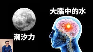 潮汐力會影響人的大腦嗎？滿月之夜為何會有怪事發生？【老肉雜談】