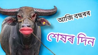 আজি বছৰৰ অন্তিমটো দিন || Last Day of the Year || Goodbye 2023