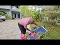 സോളാർ ലൈറ്റ്സ് ഫ്രീ... solar lights giveaway latest trending solar lights giveaway dr. interior