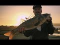 secrets to catch more seabass