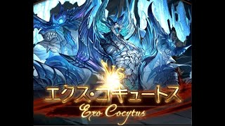 【グラブル】エクス・コキュートス_Lv140【神滅戦】