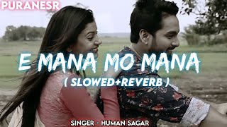 E Mana Mo Mana || (Slowed+Reverb) ||Human Sagar || Puranesr Music