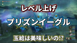 【ドラクエ10】プリズンイーグルでレベル上げしてみた！玉給はどれくらい稼げる⁉【オンライン】