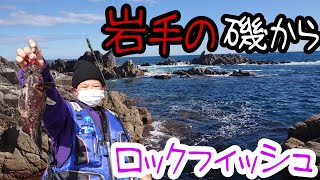 【釣り】岩手県沿岸にて磯ロック【根魚ハント】ロックフィッシュ開幕戦