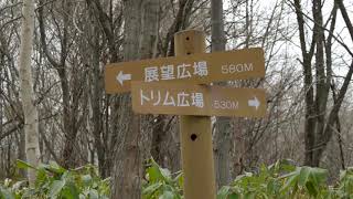 ハイキングや軽い登山にピッタリ！札幌の眺望がいい宮丘公園！野鳥や森林浴のため散策しようView of Sapporo