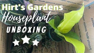 Hirt's Gardens HOUSEPLANT unboxing!!