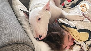 This Rescue Dog Will Restore Your Faith in Love