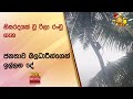 හිසරදයක් වූ රිලා රංචු ගැන ජනතාව බලධාරීන්ගෙන් ඉල්ලන දේ - Hiru News