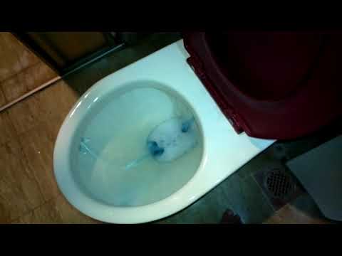 Flushing the Water with Daiso Automatic Toilet Bowl Cleaner, 180g Flushing the Water with Daiso Automatic Toilet Bowl Cleaner, 180g