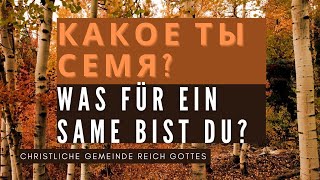 Какое ты Семя? - Was für ein Same bist du? - 10.10.2021 - Erntedankfest