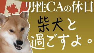 カナダでも人気者！柴犬とバンクーバーを散歩｜男性CAの休日