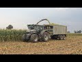 JAGUAR 930 | 3X MASSEY FERGUSON | AKCJA KUKURYDZA Z SIECZKARNIĄ | AGRO-TEAM