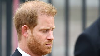 Prince Harry’s charity to be investigated by Charity Commission