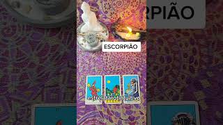 ESCORPIÃO ♏   Leitura diária #shorts  #tarot #signos #leituradecartas #cartas