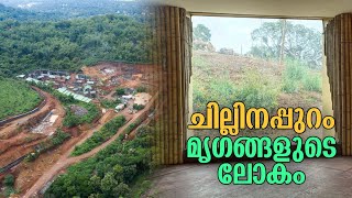 മൃഗങ്ങള്‍ക്കൊപ്പം ചാരിനിന്ന് ഫൊട്ടോയെടുക്കാം; തൃശൂരില്‍ വമ്പന്‍ പാര്‍ക്ക് വരുന്നു