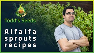 Alfalfa Sprouts Recipes