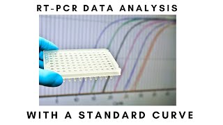 How to quantify RT-PCR data with a standard curve